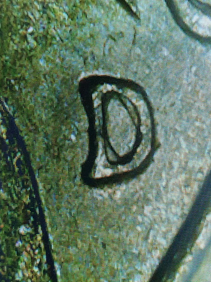 1992-D-US-5-Cents-D-Over-Inverted-D,